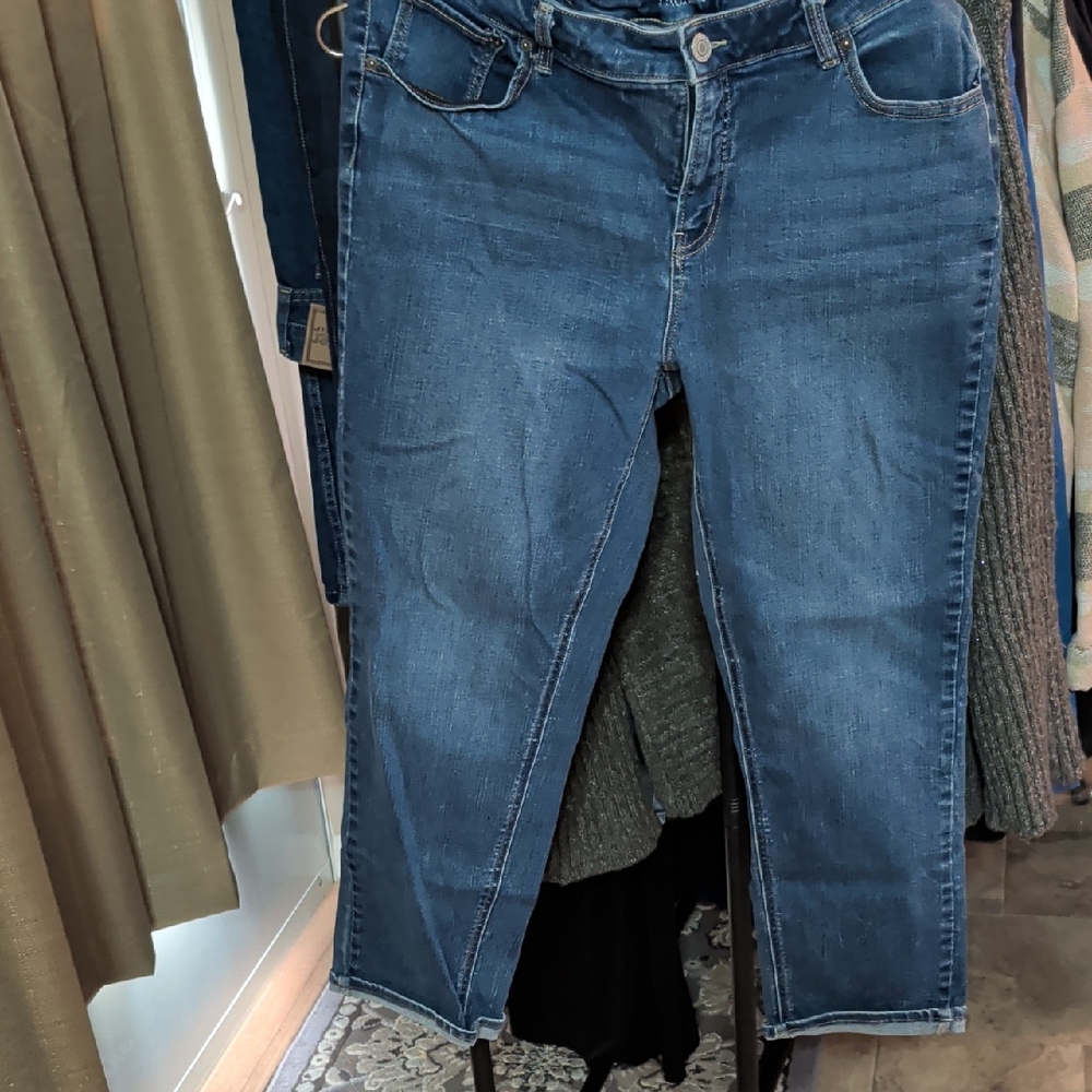 Time and Tru Dark Blue Ankle Jeans Size 18P